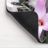 Regenlilie Mousepad (Ecke)