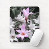 Regenlilie Mousepad (Mit Mouse)