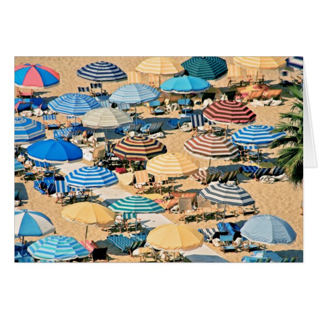 Regenschirm 3 (Vorderseite (Horizontal))