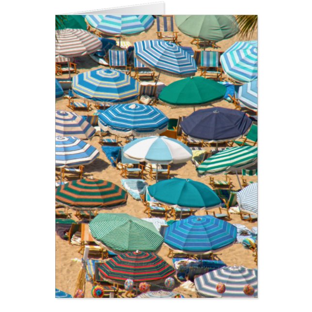 Regenschirm 4 (Vorne)