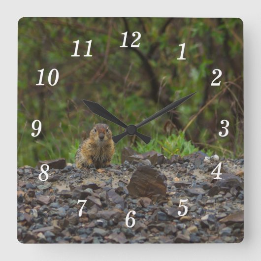 Regenschirm bitte Uhr (Vorderseite)