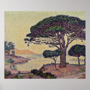 Regenschirm-Kiefern bei Caroubiers, 1898 Poster