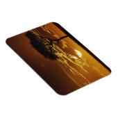 Regenschirm Thorn Acacia, Acacia tortilis, Magnet (Rechte Seite)