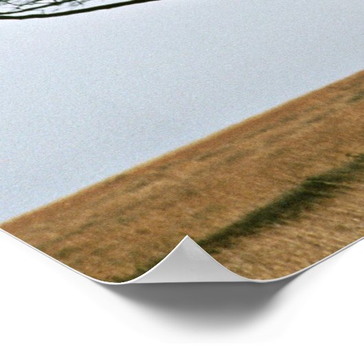 Regenschirm Thorn Acacia Tree Poster (Ecke)