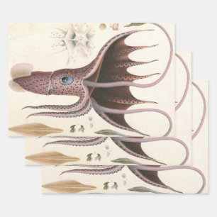 Regenschirm-Tintenfisch, Vintage Meeresleben Tiere Geschenkpapier Set