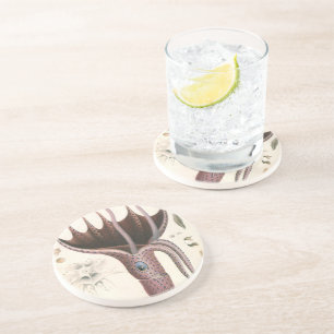 Regenschirm-Tintenfisch, Vintage-Meereslebewesen-T Getränkeuntersetzer