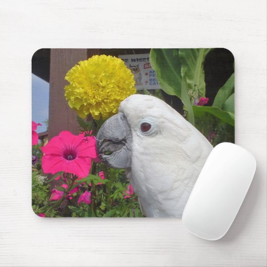 RegenschirmCockatoo Mousepad (Mit Mouse)