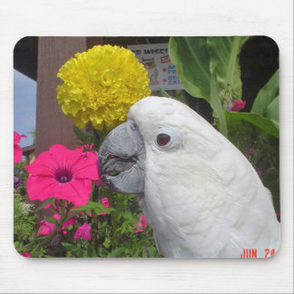 RegenschirmCockatoo Mousepad