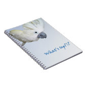 RegenschirmCockatoofragen, was oben ist Notizblock (Rechte Seite)