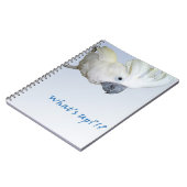 RegenschirmCockatoofragen, was oben ist Notizblock (Linke Seite)