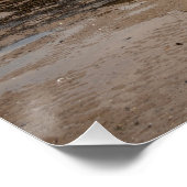 Regent Cinema, Redcar Poster (Ecke)