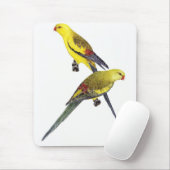 Regent Parrot Pair - Polytelis anthopeplus Mousepad (Mit Mouse)