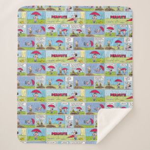 Regentag beim Baseballspiel Sherpadecke