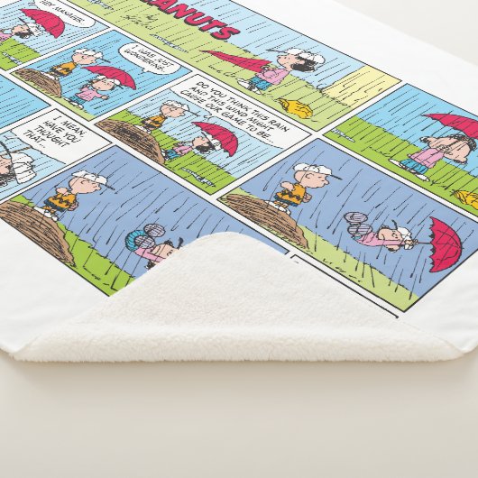 Regentag beim Baseballspiel Sherpadecke (3/4)