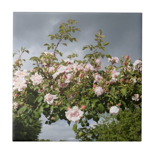 Regentag Fliese (Vorderseite)