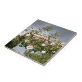 Regentag Fliese (Seite)