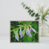 Regentagsgarten Postkarte (Stehend Vorderseite)