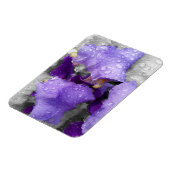 Regentropfen an Iris Magnet (Linke Seite)