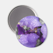 Regentropfen an Iris Magnet (Vorderseite/Rückseite)