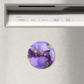 Regentropfen an Iris Magnet (In Situ (Geschirrspüler))