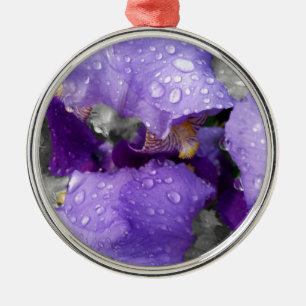 Regentropfen an Iris Ornament Aus Metall