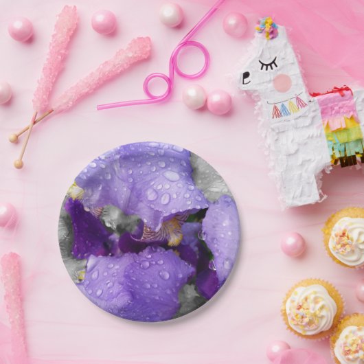 Regentropfen an Iris Pappteller (Party)