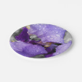 Regentropfen an Iris Pappteller (Schrägansicht)