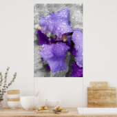 Regentropfen an Iris Poster (Küche)