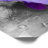 Regentropfen an Iris Poster (Ecke)