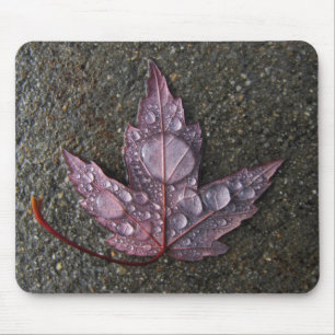 Regentropfen auf Blatt Mousepad