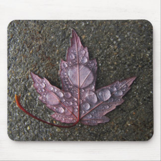 Regentropfen auf Blatt Mousepad