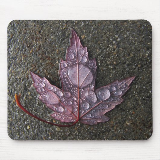 Regentropfen auf Blatt Mousepad (Vorne)