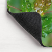 Regentropfen auf Blätter Mousepad (Ecke)