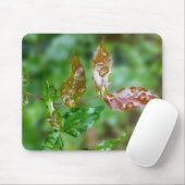 Regentropfen auf Blätter Mousepad (Mit Mouse)