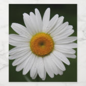 Regentropfen auf Blumenblättern Weinetikett (Einzelnes Label)