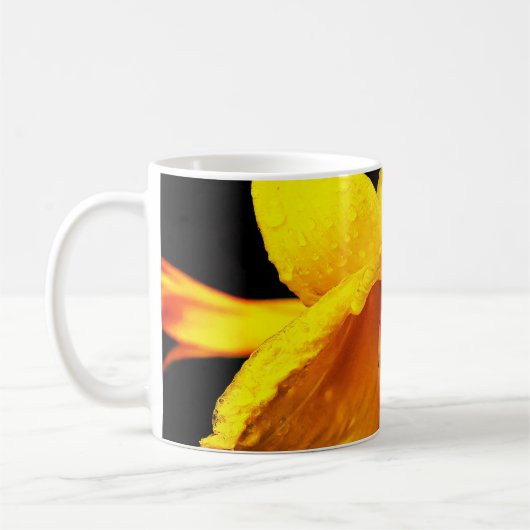 Regentropfen auf der Gelblilie Kaffeetasse (Links)