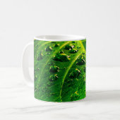 Regentropfen auf einem Blatt Kaffeetasse (Vorderseite Links)