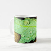 Regentropfen auf einem Blatt Kaffeetasse (Vorderseite Links)