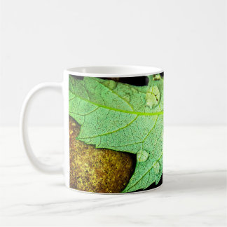 Regentropfen auf einem Blatt Kaffeetasse