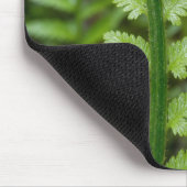 Regentropfen auf entfalteter Farn Mousepad (Ecke)