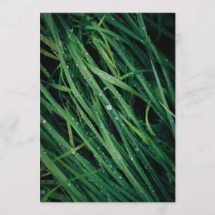 Regentropfen auf Gras, Earth Day-Karte