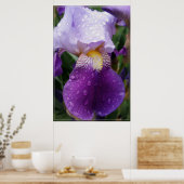 Regentropfen auf Iris Poster (Küche)