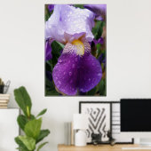 Regentropfen auf Iris Poster (Heimbüro)
