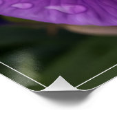 Regentropfen auf Iris Poster (Ecke)