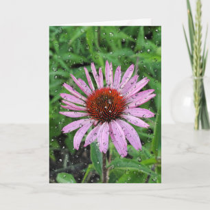 Regentropfen auf Kegelblume Karte