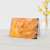 Regentropfen auf leerer Karte der Rosen (Gelbe Blume)