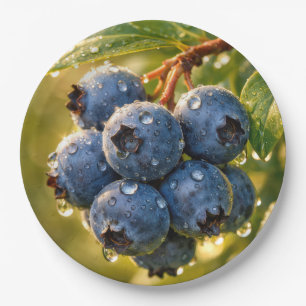 Regentropfen auf reifen Blaubeeren Pappteller