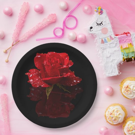 REGENTROPFEN AUF ROSE PAPPTELLER (Party)