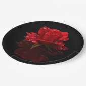 REGENTROPFEN AUF ROSE PAPPTELLER (Schrägansicht)