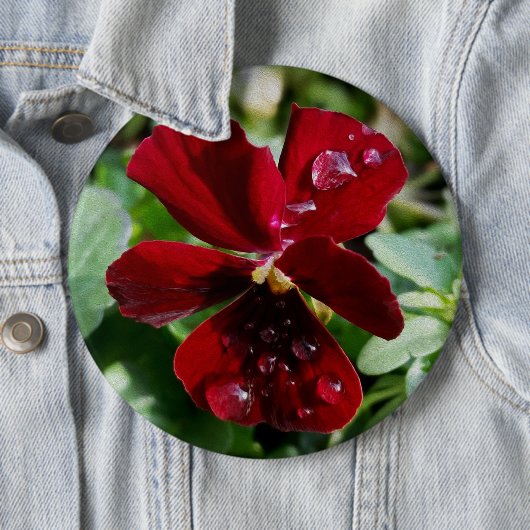 Regentropfen auf Stiefmütterchen Button (Beispiel)